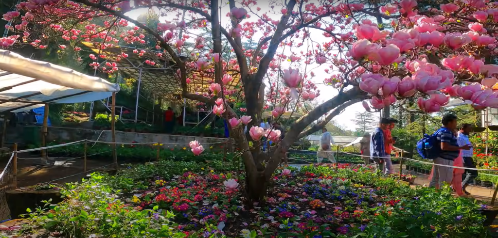 Best Places To visit In Mussoorie